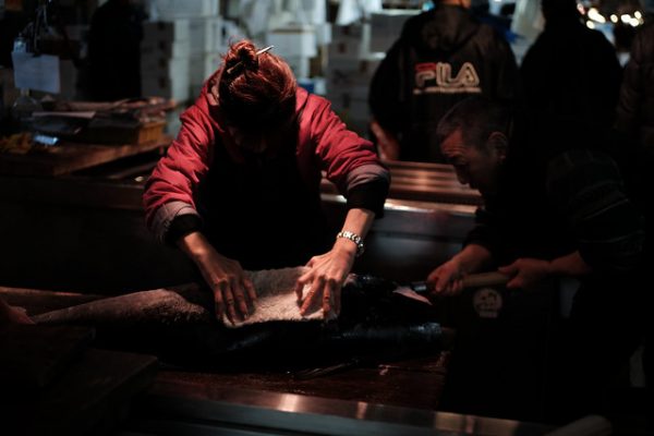 Dismantling of tuna