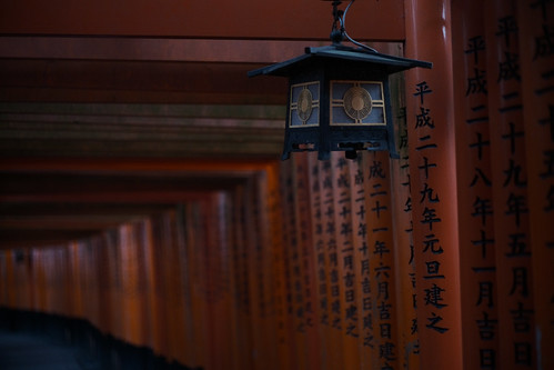 thousands of vermilion torii gates