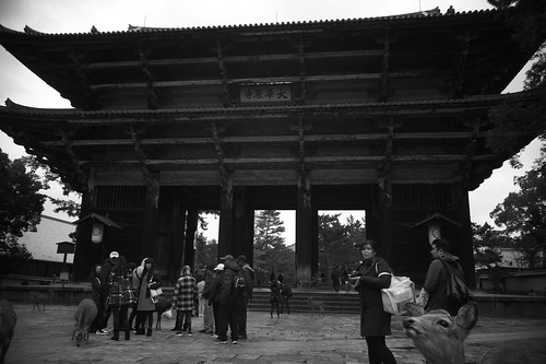 Todai-ji Temple Great South Gate