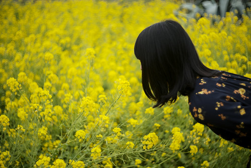 Rape blossoms and wife